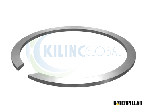 [CTP_8T3293] Ring-Retaining