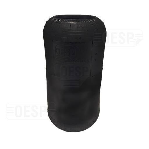 [9213231/2] 921888  N Roll Air Spring