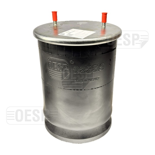 [9233248.P/2] 922619 CPP Air Spring Plastic Piston