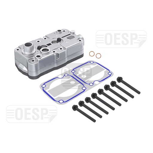 [2500150 00] CYLINDER HEAD WITH PLATE KIT, COMPRESSOR