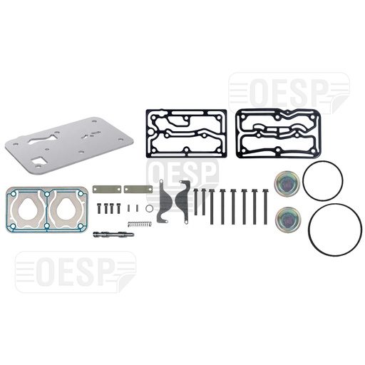 [3202160 00] REPAIR KIT WITH BUSHING & PLATE, COMPRESSOR