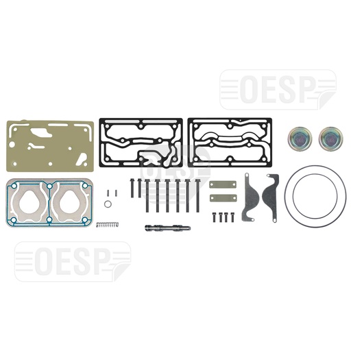 [3202360 00] REPAIR KIT WITH BUSHING & PLATE, COMPRESSOR