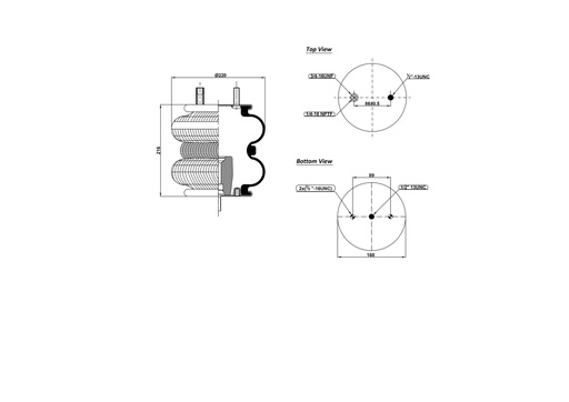 [9243090/2] 2B 220  Double Convulated Air Spring  (3/4-16 UNF / 1/4-18 NPTF) / (1/2-13 UNC)