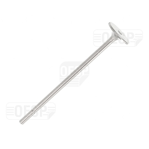 [NTR_101001] INTAKE VALVE